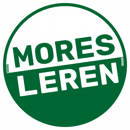Mores Leren - leiderschap | samenwerken | teamontwikkeling